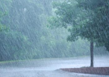 देशका यी भागमा आज वर्षाको सम्भावना