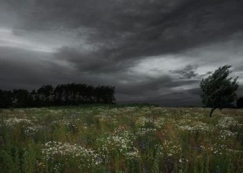 प्रि–मनसुनी प्रणाली अझै सक्रिय, तर हिजोअस्तिको तुलनामा पानी कम पर्ने