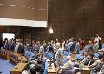 दिउँसाे साढे २ बजेसम्मका लागि स्थगित संसद् बैठक अझै शुरू हुन सकेन