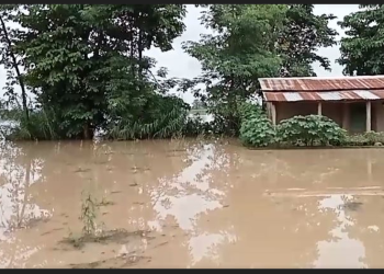कैलाली र कञ्चनपुरमा आरीघोप्टे वर्षा, ठाउँठाउँमा डुबान
