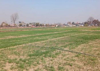 घरजग्गा किनबेच गर्दा बैंक ‘स्टेटमेन्ट’ बुझाउनुपर्ने नियम खारेज