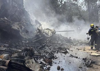 दुर्घटनाग्रस्त एअर इन्डियाकाे विमानमा कुन देशका कति नागरिक थिए ?