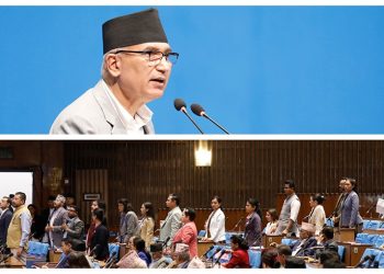 बजेट आएको १८औं दिनमा प्रतिनिधिसभामा छलफल शुरू
