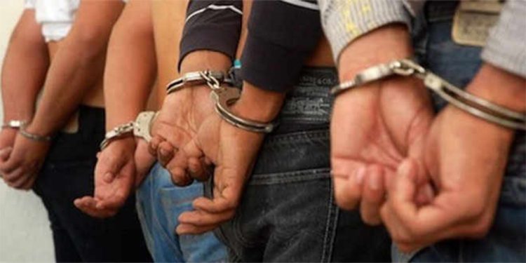 बाराबाट १२ किलो गाँजा र २२० फाइल ट्रामाडोलसहित तीन जना पक्राउ