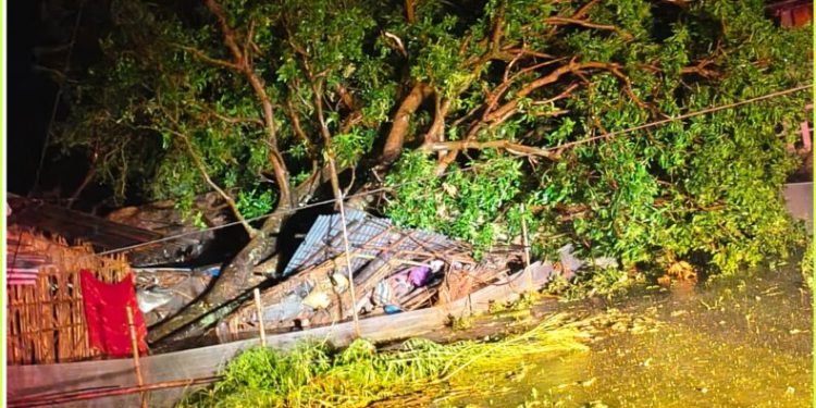 झापामा भीषण हावाहुरी–वर्षा, तीन जनाको मृत्यु