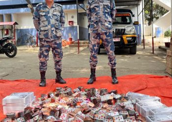 भन्सार गुल्म वीरगञ्जद्वारा ६ लाखभन्दा बढी मूल्यका अवैध औषधि बरामद