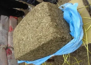 पर्सामा २ सय १३ केजी गाँजासहित ट्याक्टर नियन्त्रणमा