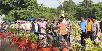 बिरगंज स्थित मितेरी पुल क्षेत्रमा वृक्षरोपण तथा सरसफाइ कार्यक्रम भब्यरुपमा सम्पन्न