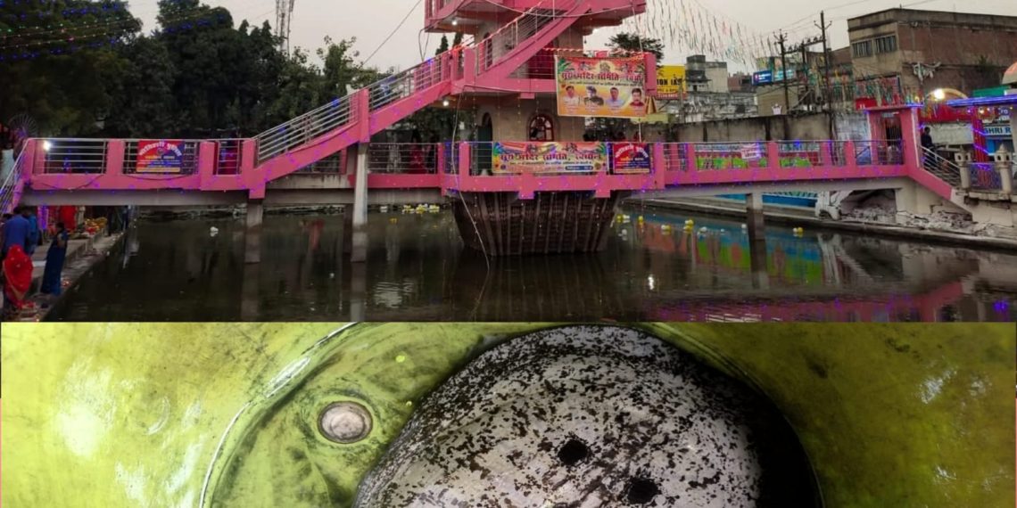 प्राचीन सुर्य मन्दिर परिसरको पोखरिमा ११ किलोको कछुवा फेला,आस्था एवं पर्यावरणको संगम ।
