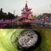 प्राचीन सुर्य मन्दिर परिसरको पोखरिमा ११ किलोको कछुवा फेला,आस्था एवं पर्यावरणको संगम ।