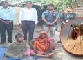 मधेशका सात जिल्लामा जापानीज इन्सेफ्लाइटिस, १९ सङ्क्रमितमध्ये ६ जनाको मृत्यु