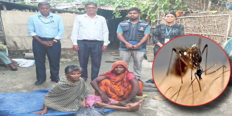 मधेशका सात जिल्लामा जापानीज इन्सेफ्लाइटिस, १९ सङ्क्रमितमध्ये ६ जनाको मृत्यु